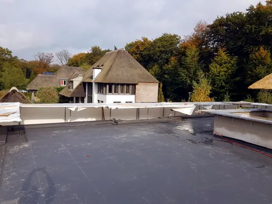 Donker plat dak naast een woning met rieten kap